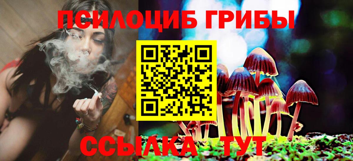 Галлюциногенные грибы мицелий  Вход с VPN  Семилуки  Псилоцибиновые грибы Psilocybine cubensis 