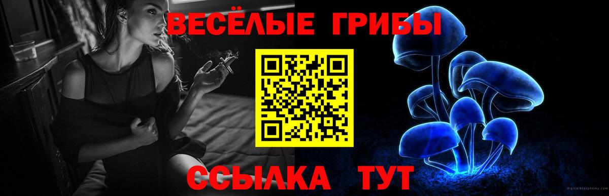 Псилоцибиновые грибы GOLDEN TEACHER Семилуки